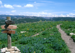 Hellroaring Plateau picture